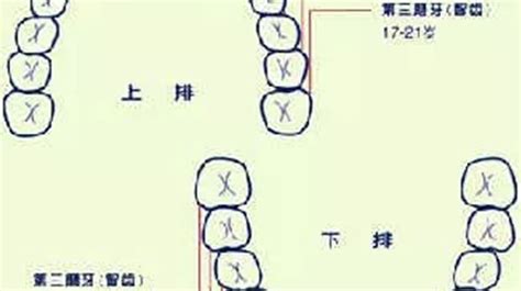 牙齒大面相|面相大全——牙齒